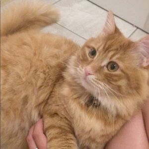 Meet your Posher, Trinity